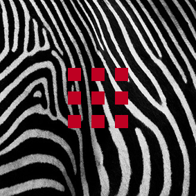 Pagina logo